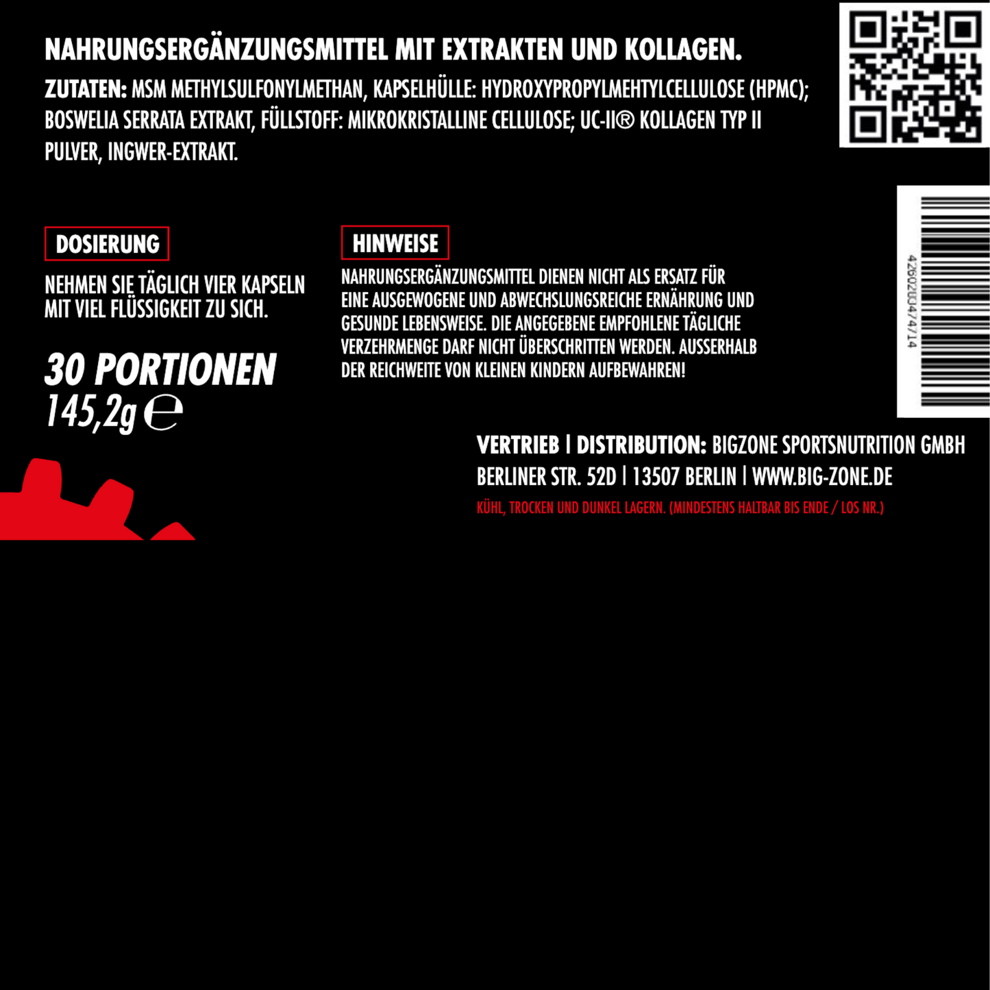 BIG ZONE Joint Protect 2.0 120 Kapseln