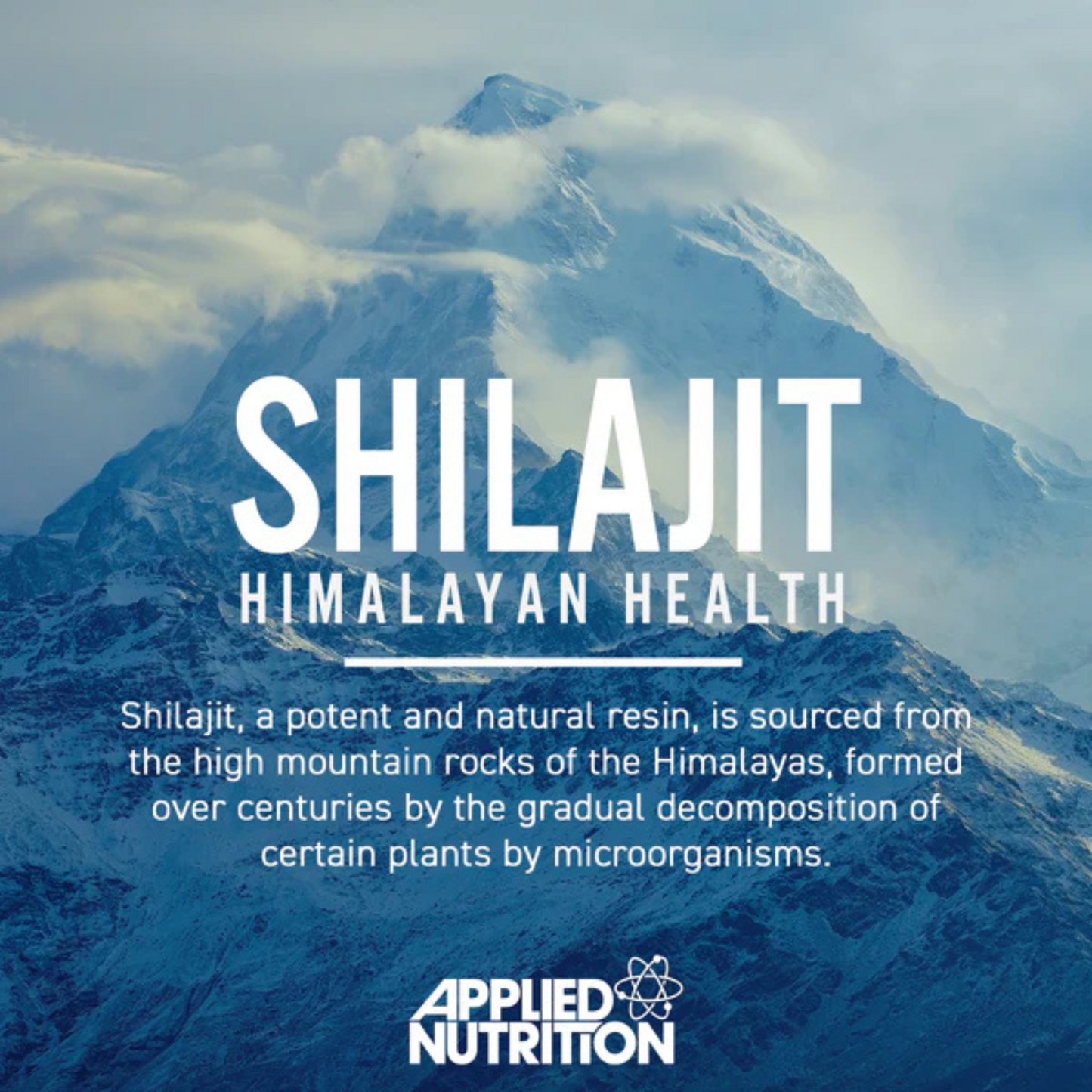 APPLIED NUTRITION Pure Shilajit 90 Kapseln