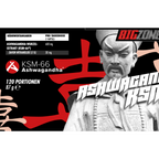 BIG ZONE Ashwagandha KSM-66® 120 Kapseln