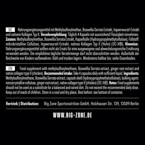 BIG ZONE Joint Protect 2.0 120 Kapseln (Kollagen)