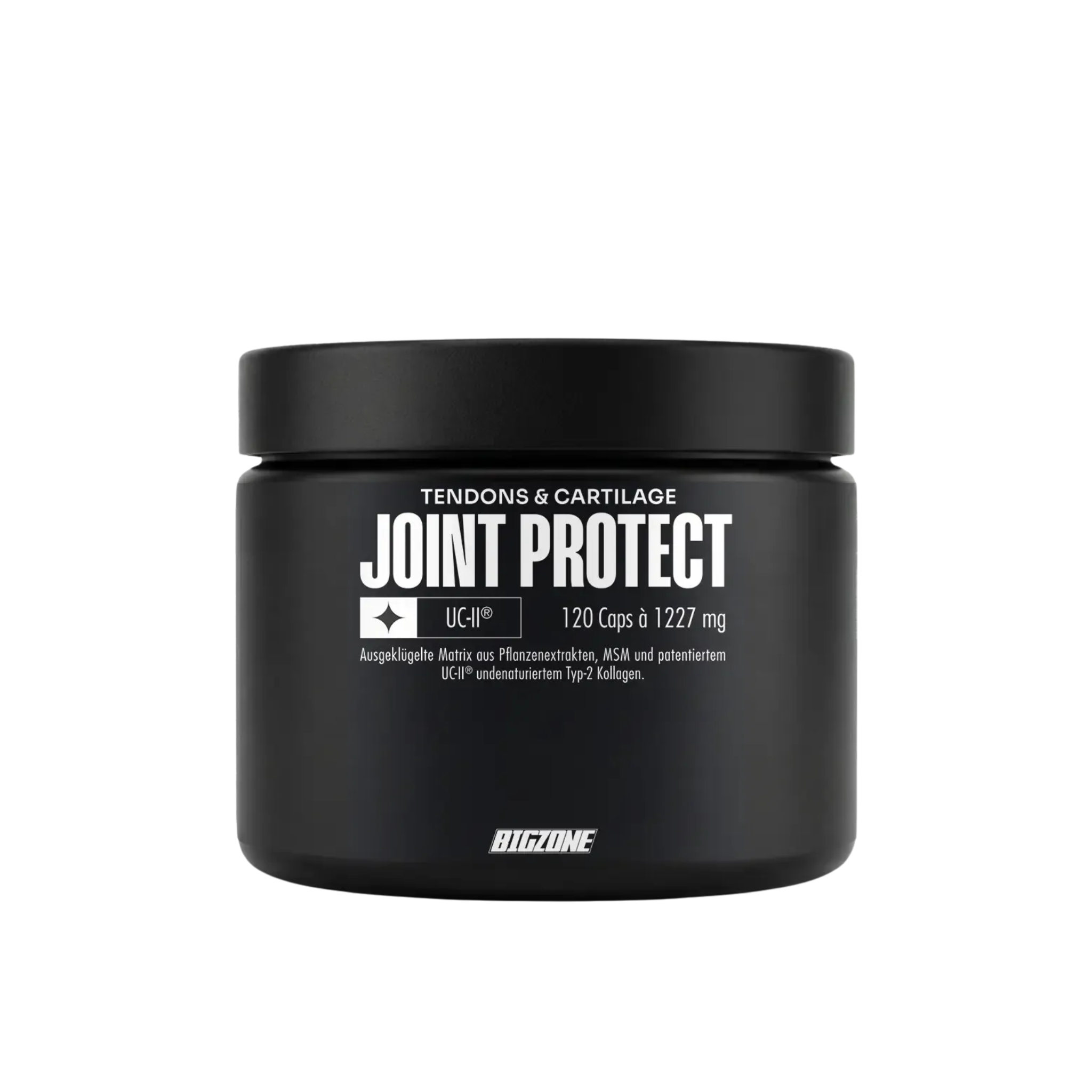 BIG ZONE Joint Protect 2.0 120 Kapseln (Kollagen)