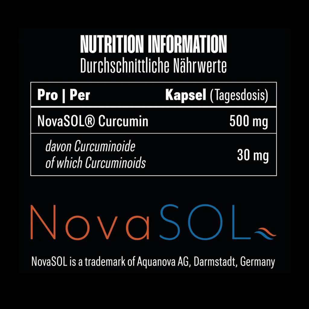 BIG ZONE NovaSol® Curcumin 90 Kapseln