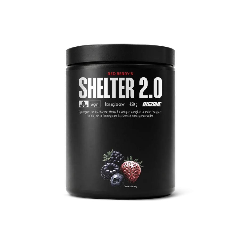 BIG ZONE Shelter 2.0 (Pre Workout Booster) 450g