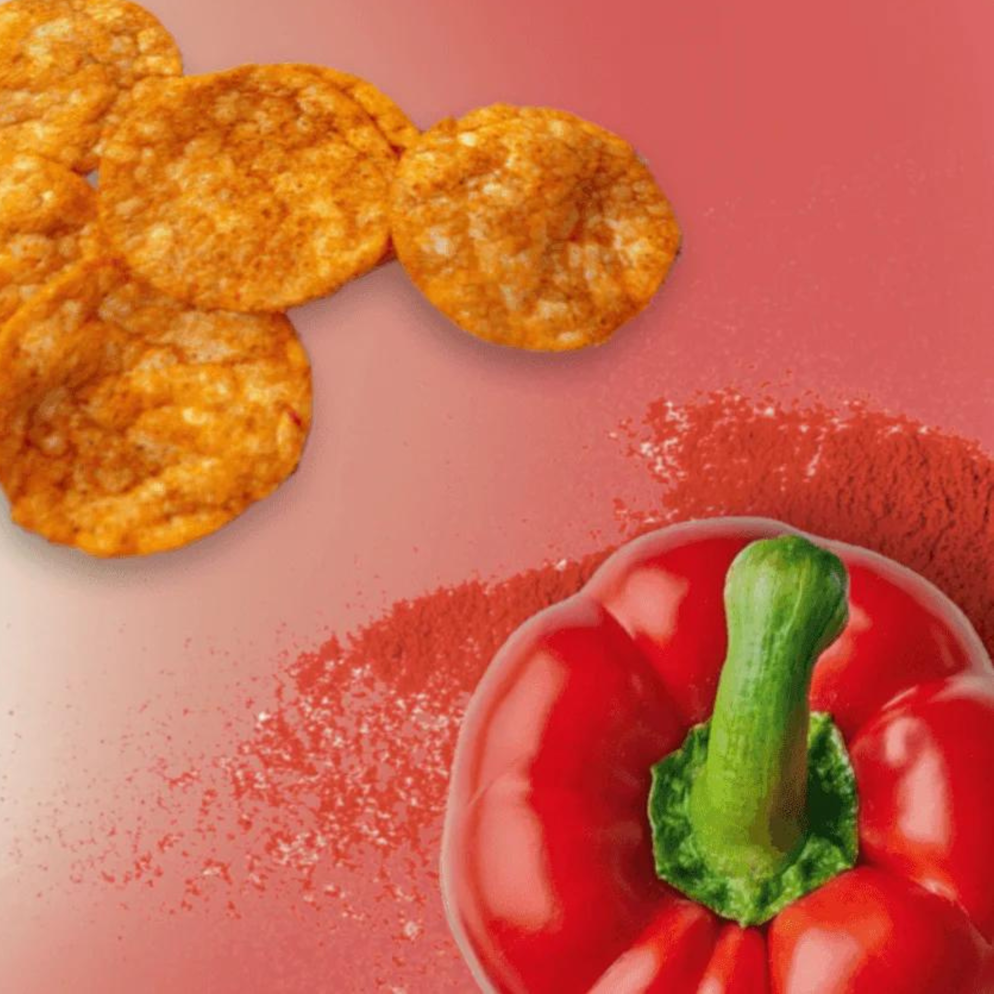 INLEAD Protein Chips (6er-Box)